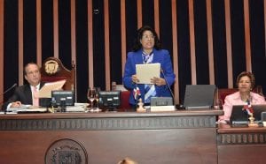 Cristina Lizardo Motiva el proyecto.