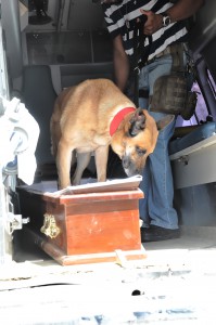 Unidades caninas asistieron a los agentes en las pesquisas.