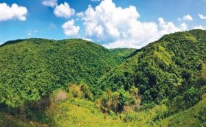 La otra cara de Loma Miranda.