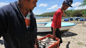 Luego del apoyo del gobierno han mejorado los beneficios.