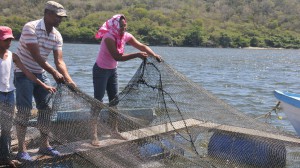 Las mujeres también son pescadoras.