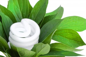 Reciclar la bombilla es mejor  que destruirlo. Puede ser un adorno elegante.