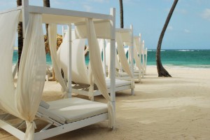 DSC_7559 (FILEminimizer)