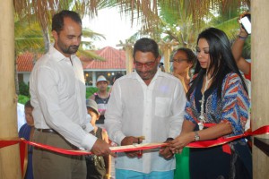 DSC_7657 (FILEminimizer)