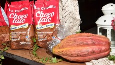 El producto es una mezcla de polvo instantáneo,  leche, cocoa 100% orgánica, azúcar y especias,