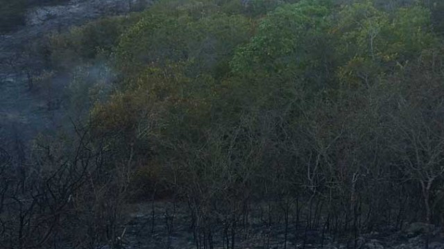 Brigadas de Medioa Ambiente y Voluntarios controlaron el fuego en el Morro.
