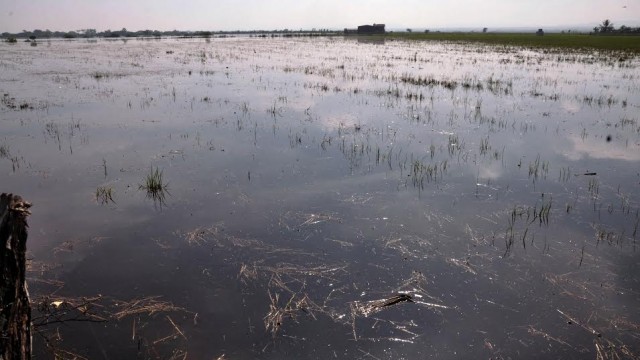 inundacion-pueblo-nuevo-mao-2