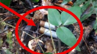 Capturan a ‘Doble Filo’ y desmantelan red criminal