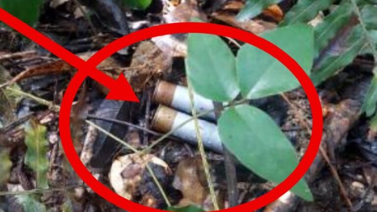 Capturan a ‘Doble Filo’ y desmantelan red criminal