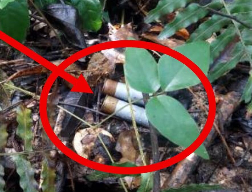 Capturan a ‘Doble Filo’ y desmantelan red criminal