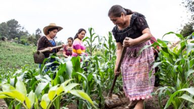 La Deuda Social con el Campo