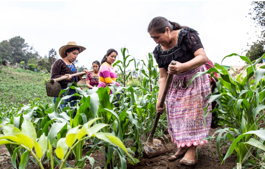 La Deuda Social con el Campo