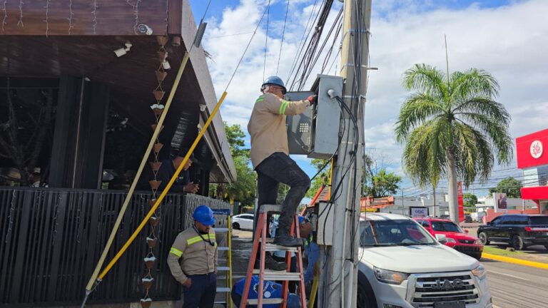 Fraude eléctrico en Comercios y Residencias de Lujo