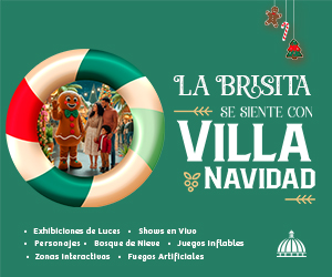 Villa Navidad